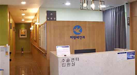 파랑새안과의원